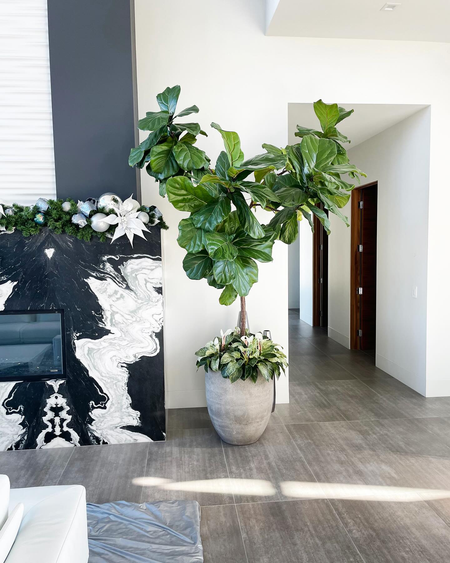 Interior Gardens