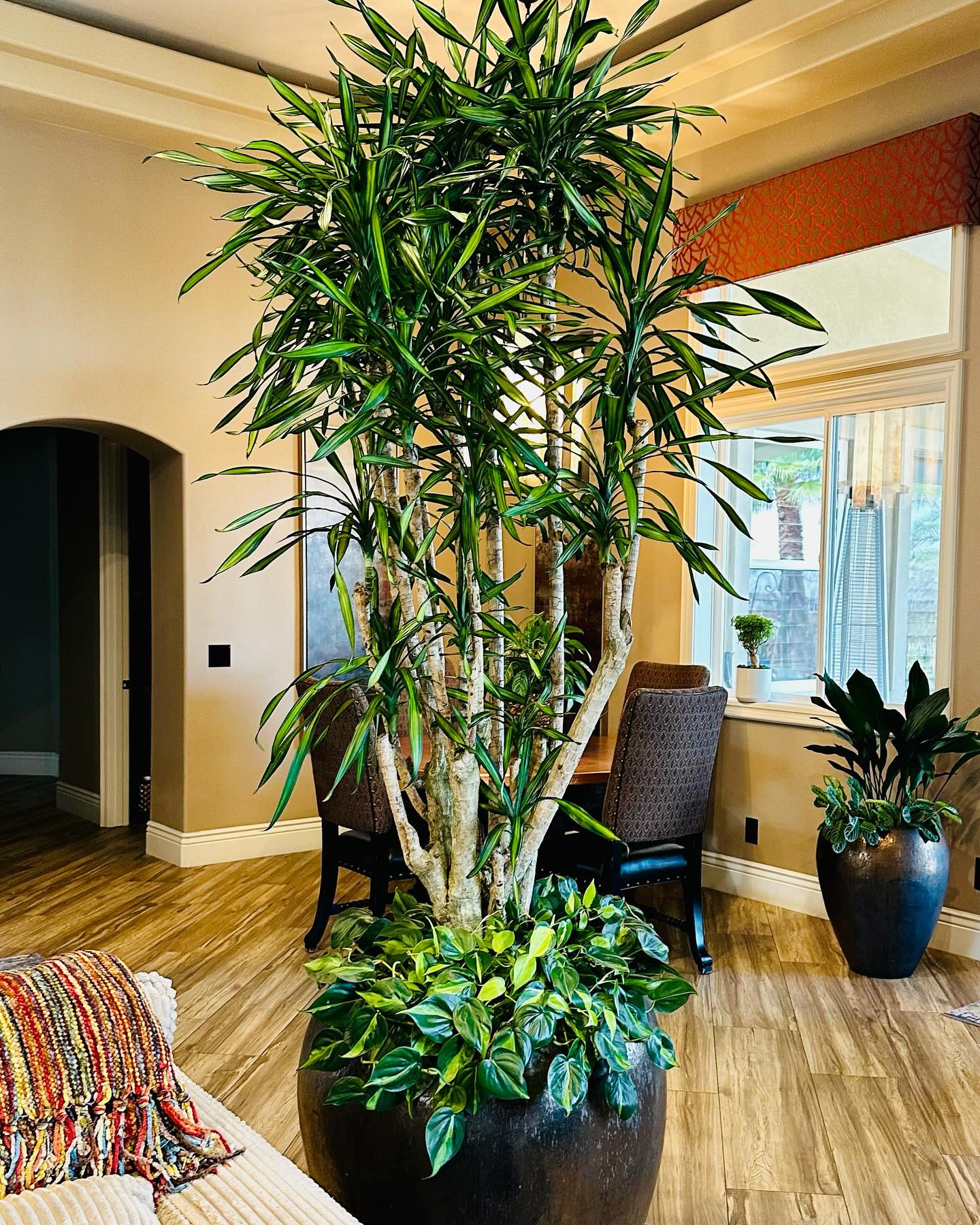 Interior Gardens