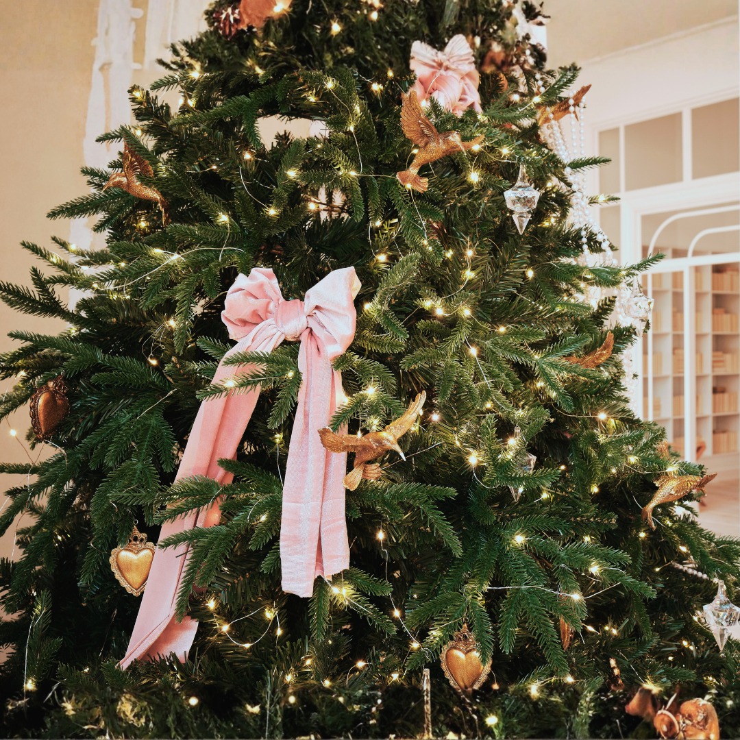 ✨ Joyeux Noël à toute notre famille Pro-Derm ❤️

À vous qui nous choisissez depuis des années ou dep
