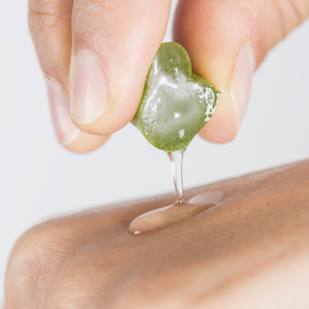 Ingrédient vedette : l’extrait d’aloès 🌿
Après un été au soleil, votre peau a besoin de douceur.
L’