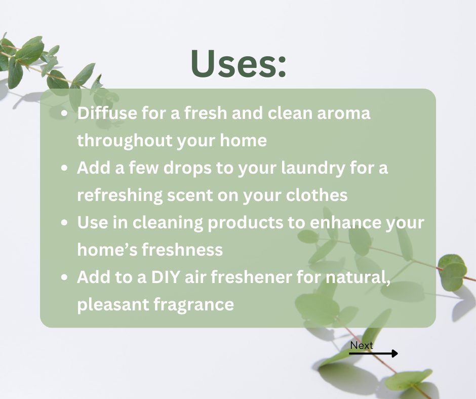 🌿 Eucalyptus Oil – A Fresh, Invigorating Scent for Every Home! 🌿
Eucalyptus oil is derived from t