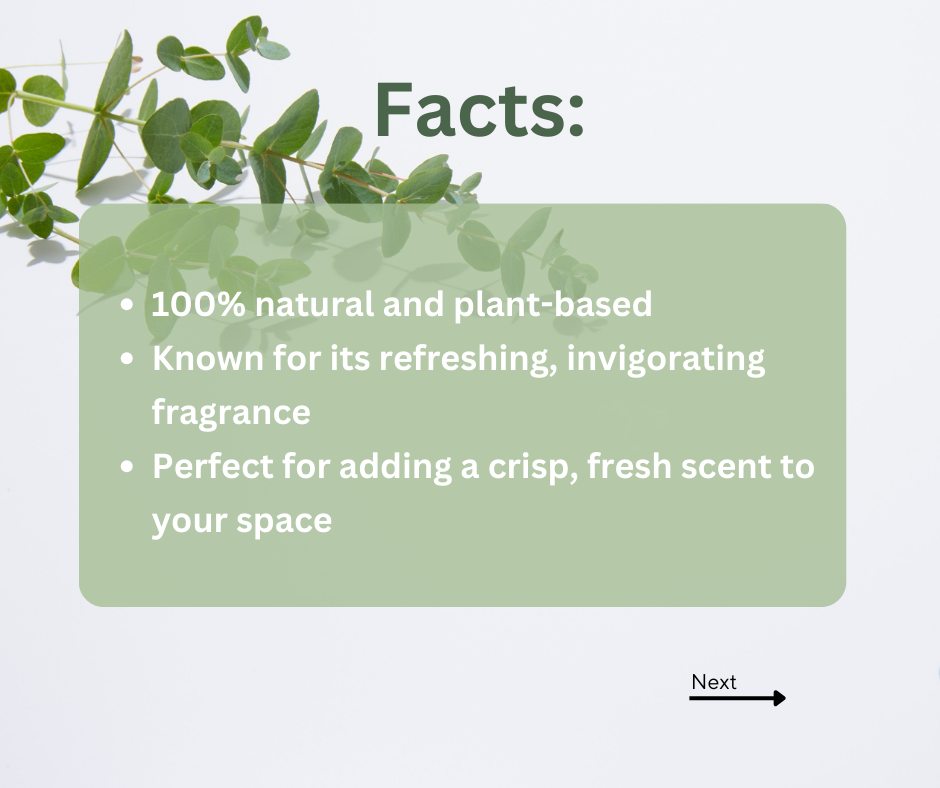 🌿 Eucalyptus Oil – A Fresh, Invigorating Scent for Every Home! 🌿
Eucalyptus oil is derived from t