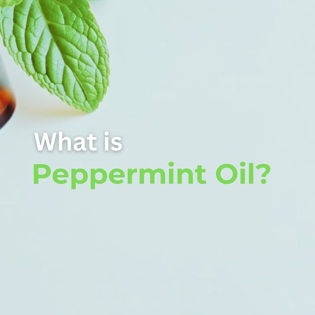 🌿 Discover the fresh world of Peppermint Essential Oil! 🌿
From its natural roots as a hybrid of w