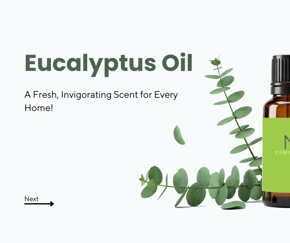 🌿 Eucalyptus Oil – A Fresh, Invigorating Scent for Every Home! 🌿
Eucalyptus oil is derived from t