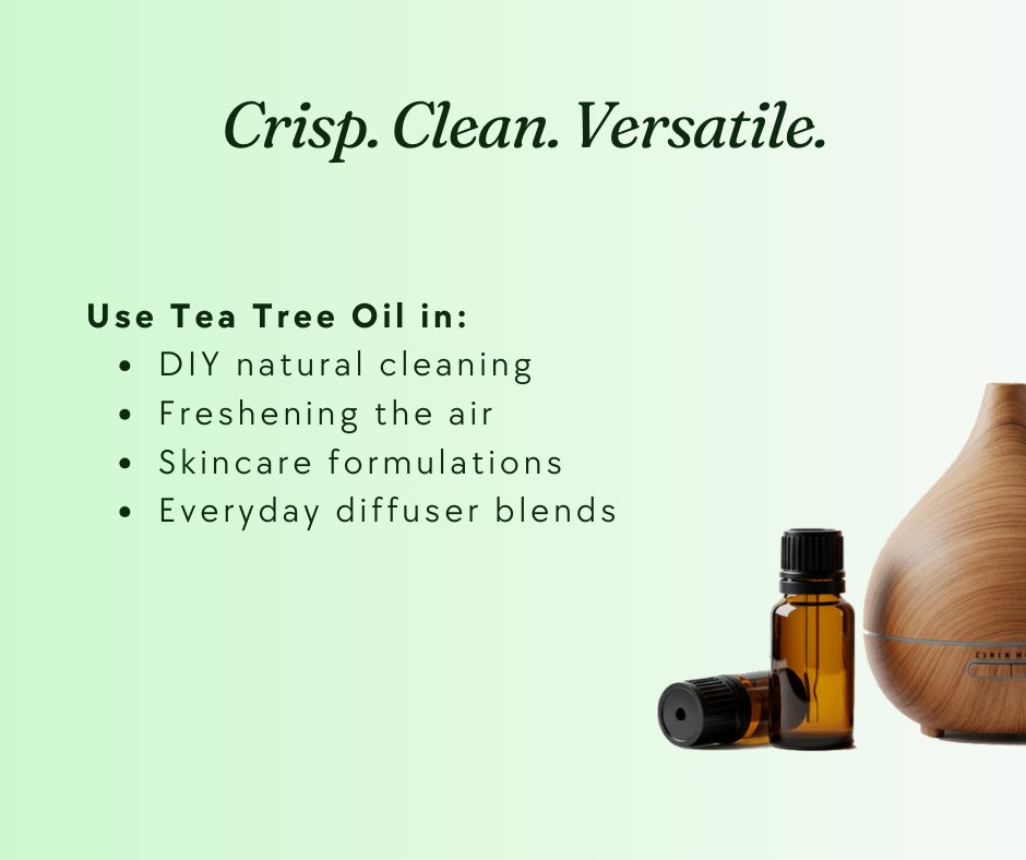 🌿 Native freshness in every drop 💧
Sourced from the leaves of the Tea Tree, our essential oil is 
