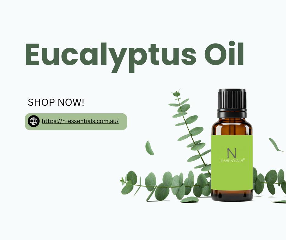 🌿 Eucalyptus Oil – A Fresh, Invigorating Scent for Every Home! 🌿
Eucalyptus oil is derived from t