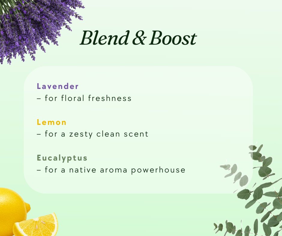 🌿 Native freshness in every drop 💧
Sourced from the leaves of the Tea Tree, our essential oil is 