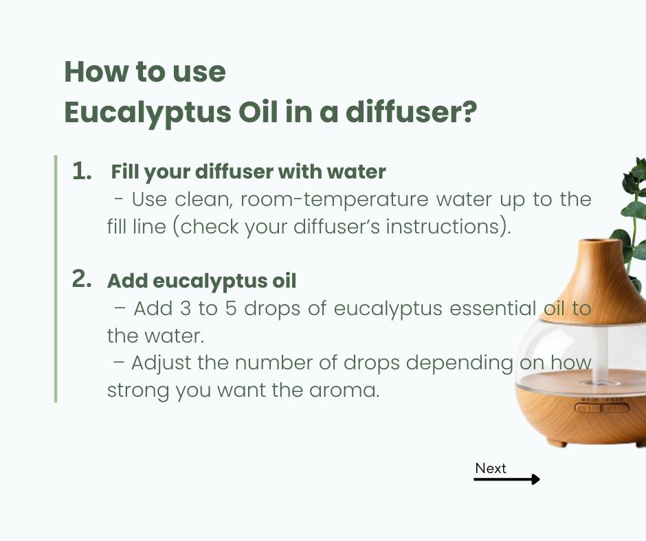 🌿 Eucalyptus Oil – A Fresh, Invigorating Scent for Every Home! 🌿
Eucalyptus oil is derived from t