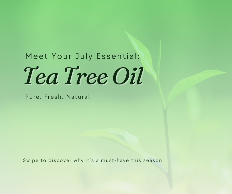 🌿 Native freshness in every drop 💧
Sourced from the leaves of the Tea Tree, our essential oil is 
