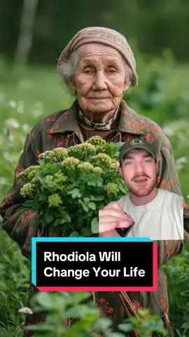 Replying to @Cloud Rhodiola Will change your life! #rhodiola #rhodiolarosea #supplements #preworkout