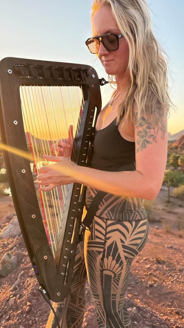 go wherever your harp takes you 😌

#harpe #harpist #harpplayer #harpmusic #whereyouare #johnsummit 