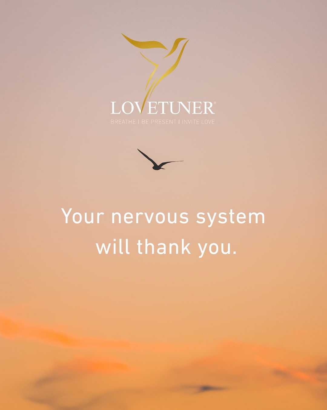 Feeling stressed? 😵‍💫 Your body’s asking for a reset — and it starts with your breath. 🌬️💛

Tuni