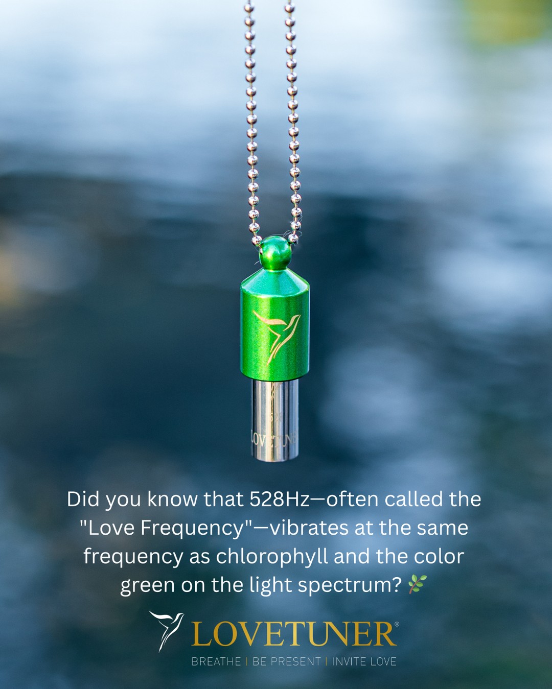 Did you know that 528Hz—often called the "Love Frequency"—vibrates at the same frequency as chloroph