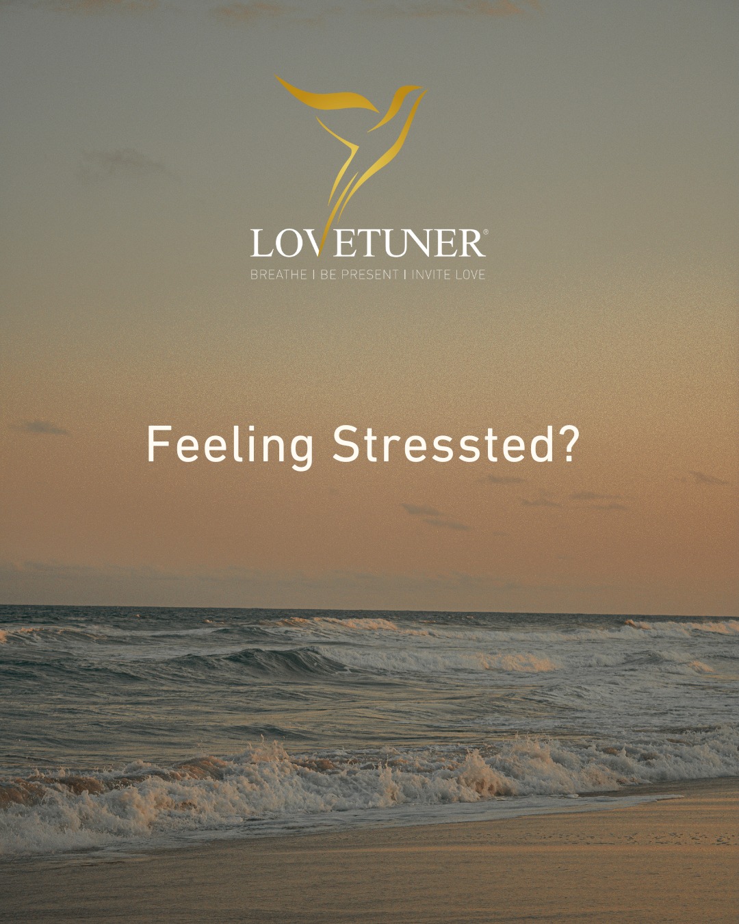 Feeling stressed? 😵‍💫

Your body’s asking for a reset — and it starts with your breath. 🌬️💛
Tuni