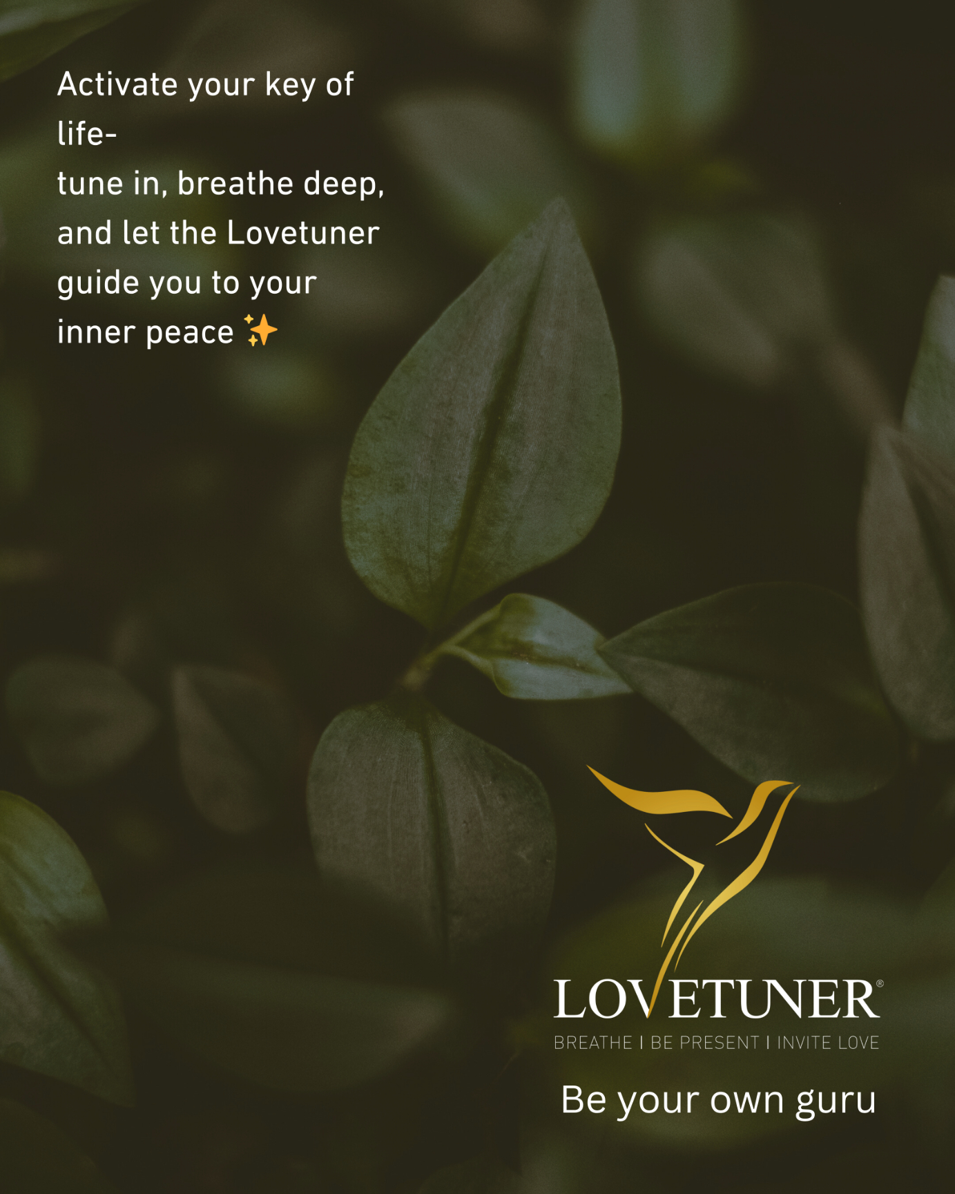 Did you know that 528Hz—often called the "Love Frequency"—vibrates at the same frequency as chloroph