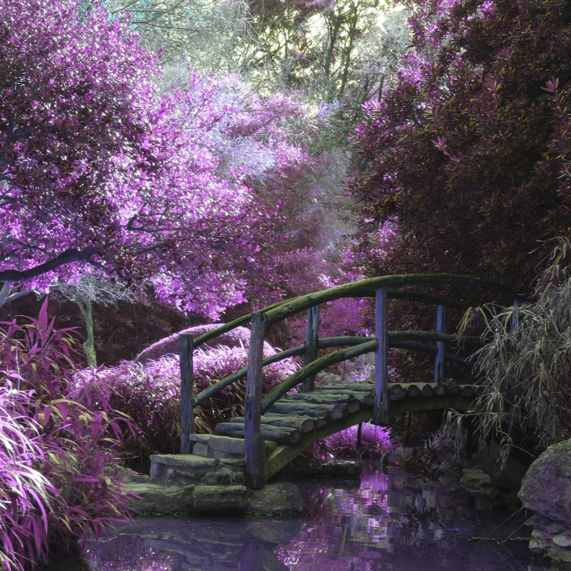 #natures This post is to check.