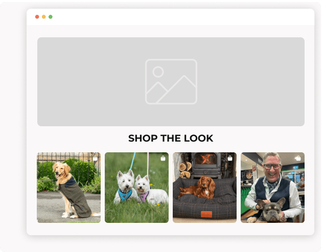 embed ugc on website